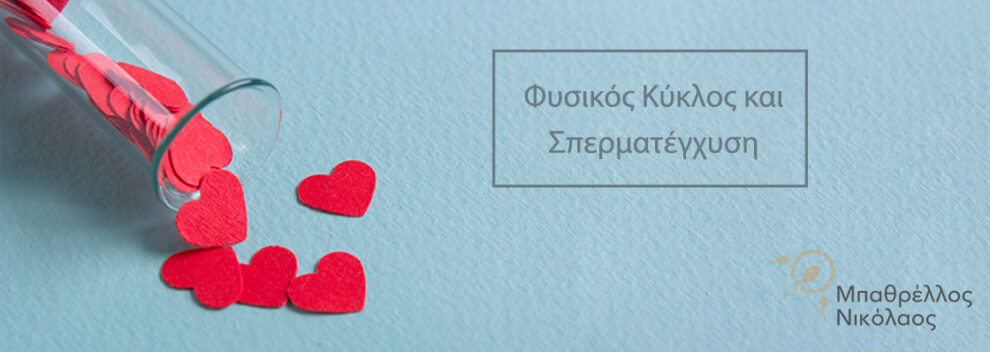 fysikos-kyklos-kai-spermategxysi